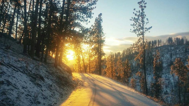 Black-Hills-SD/800x600_Beautiful shot.jpg